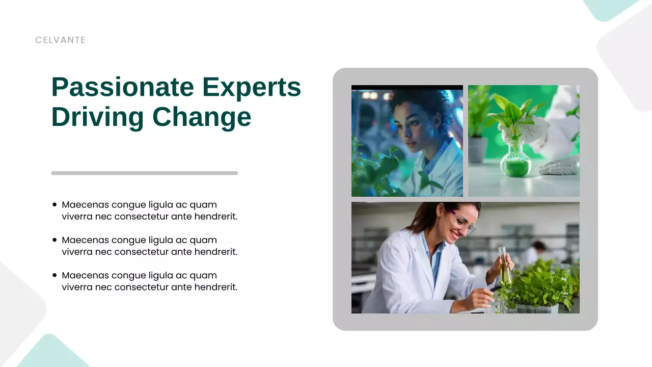 Green Modern Sustainability Promotion Presentation