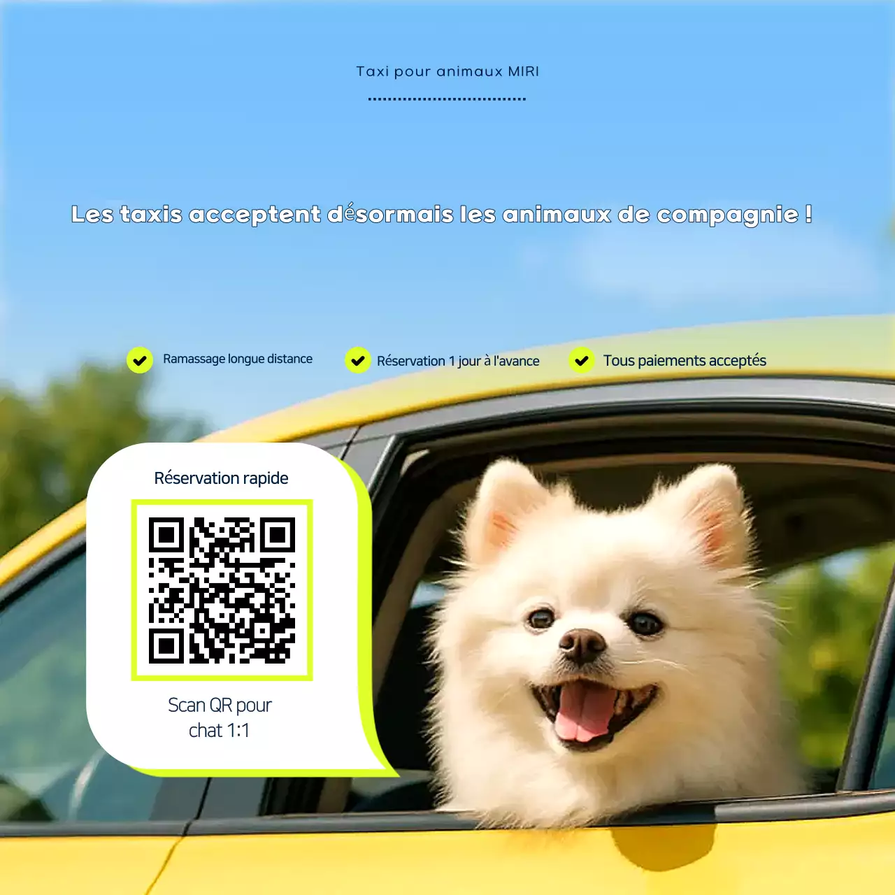 Publicité pour animaux de compagnie Sky Blue Clean