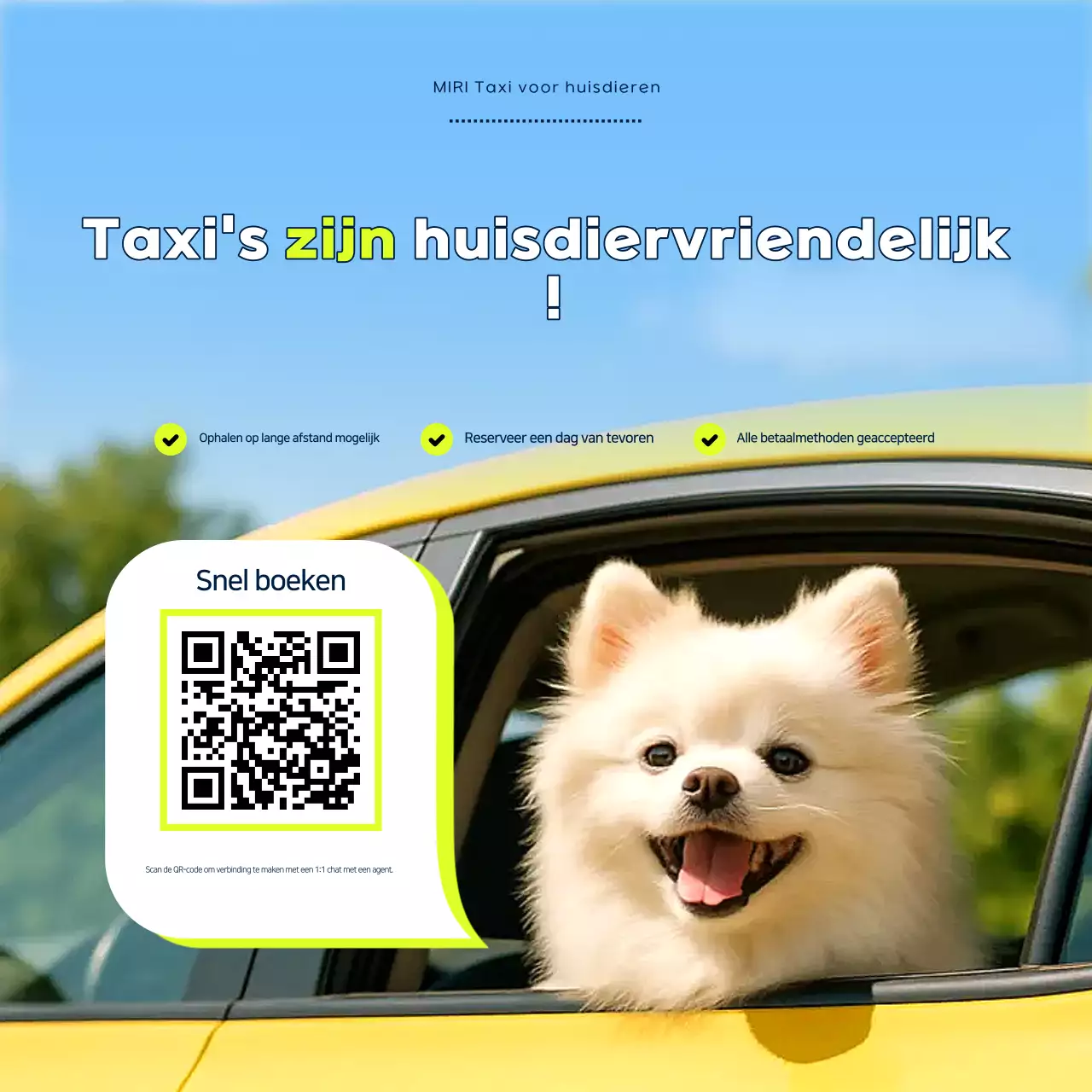 Advertentie voor schone huisdieren in Sky Blue