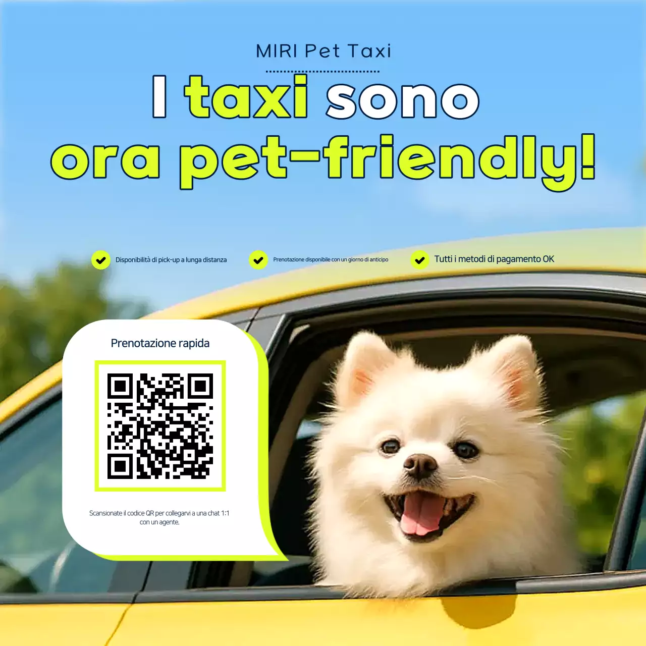 Pubblicità di Sky Blue Clean Pet