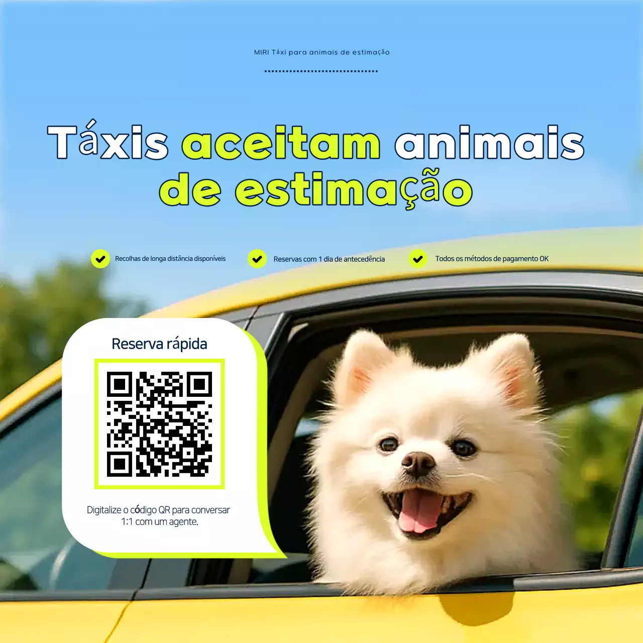 Anúncio de animal de estimação limpo azul-celeste