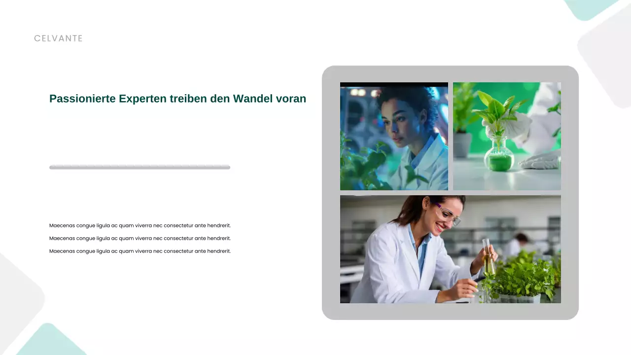 Präsentation zur Förderung der grünen modernen Nachhaltigkeit