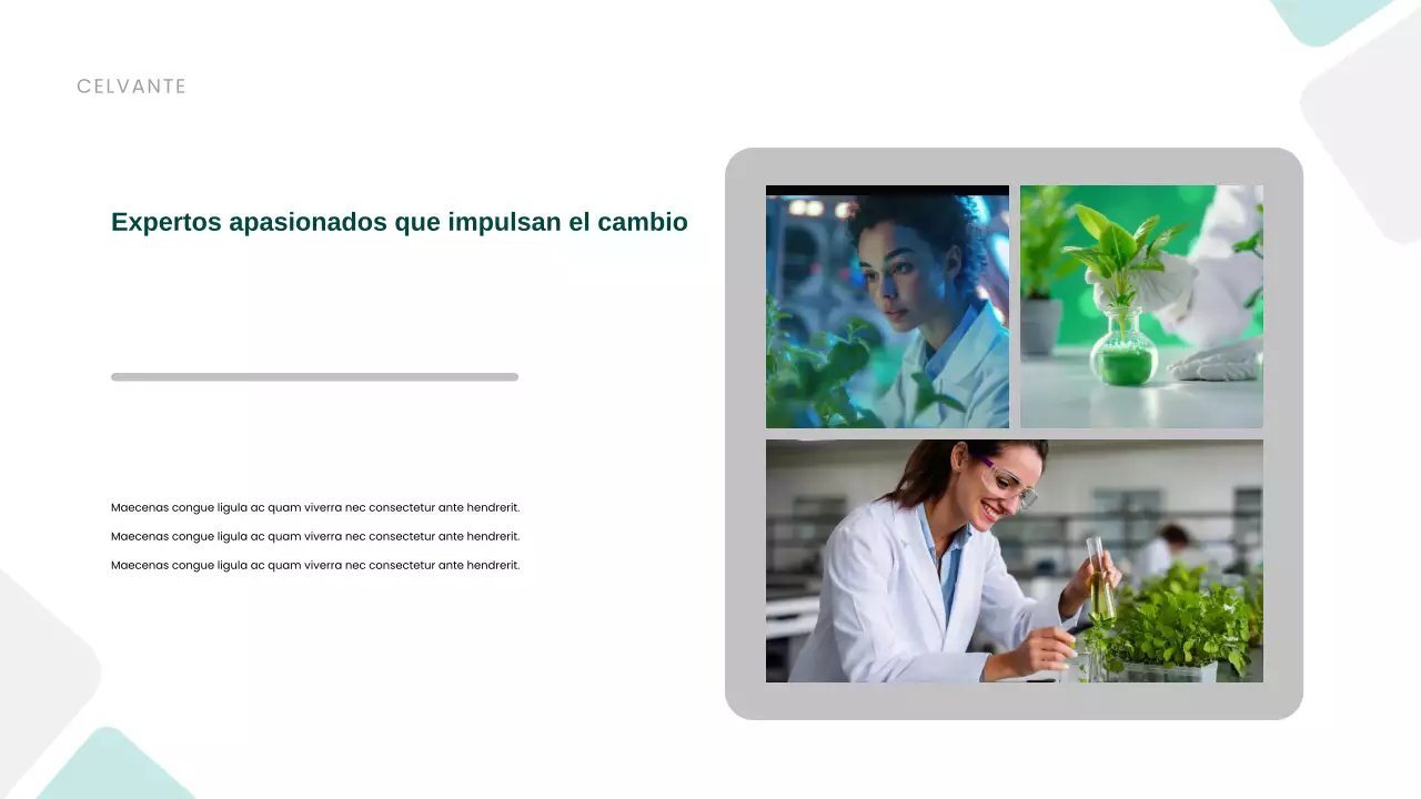 Presentación de promoción de la sostenibilidad moderna y ecológica