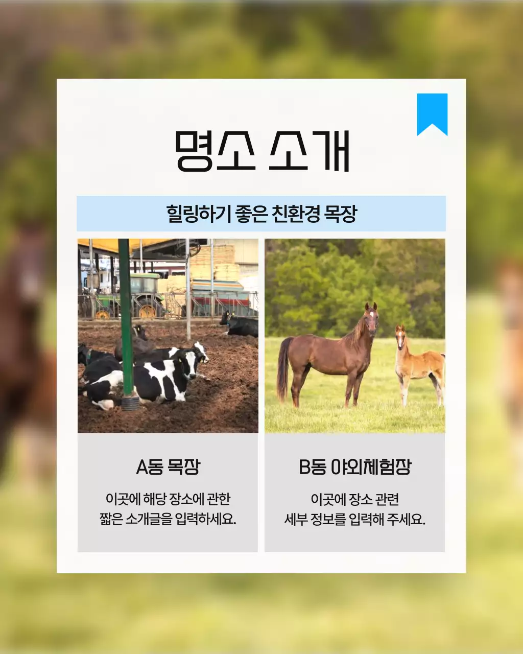 흰색과 하늘색의 심플한 호텔 인근 명소 홍보