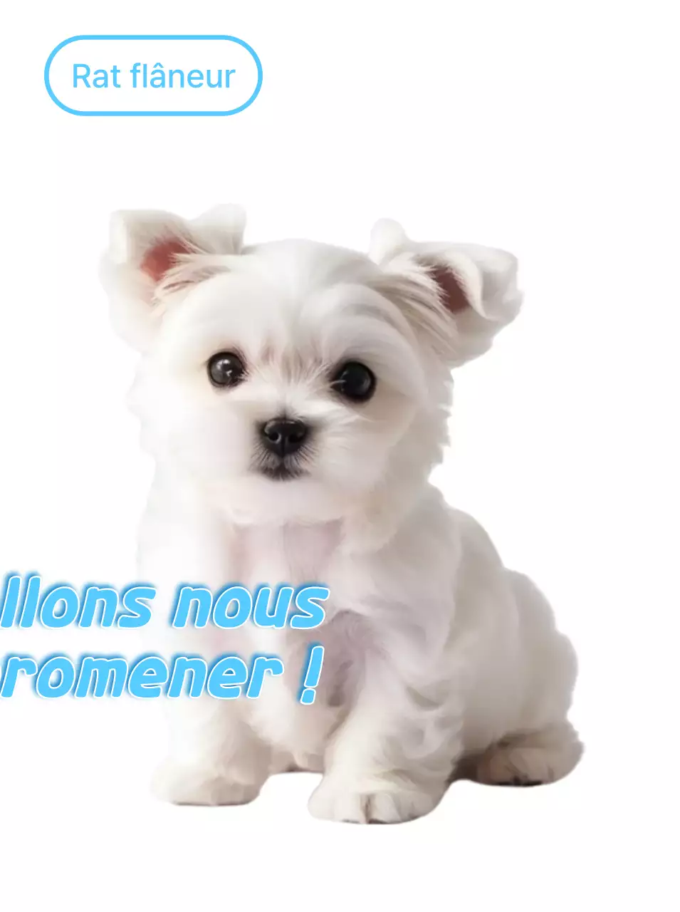 Autocollant chiot blanc mignon