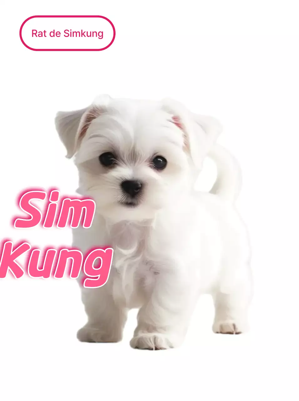 Autocollant chiot blanc mignon