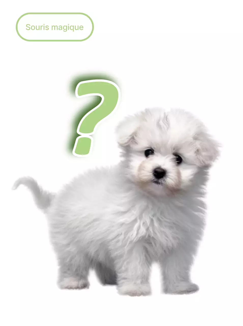 Autocollant chiot blanc mignon