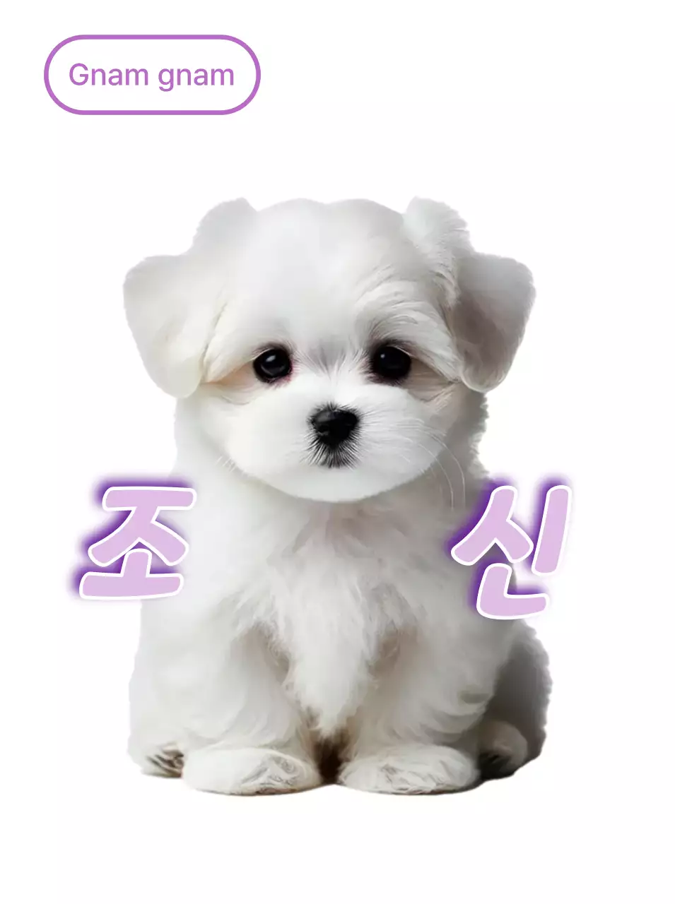 Adesivo cucciolo bianco carino