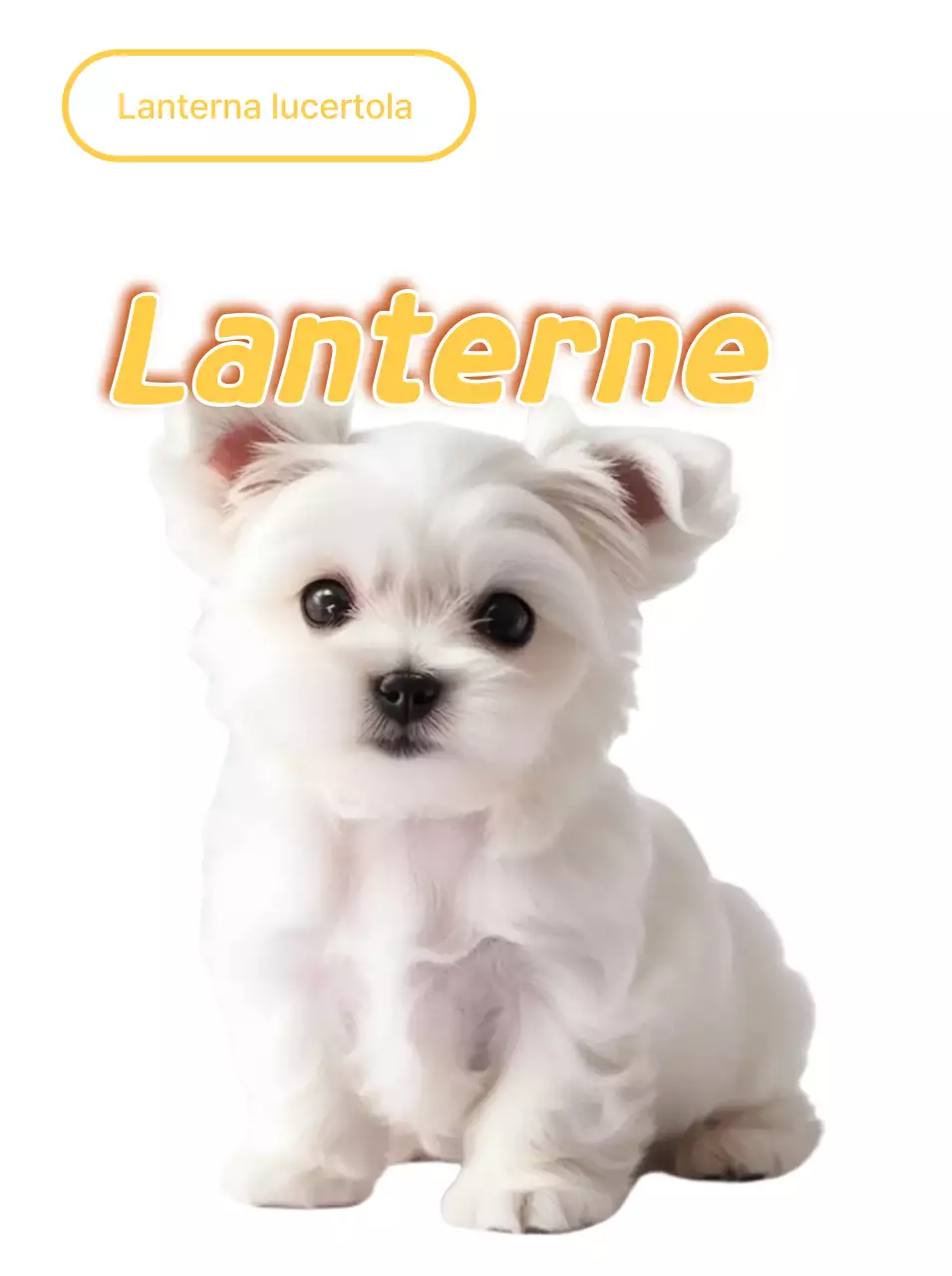 Adesivo cucciolo bianco carino