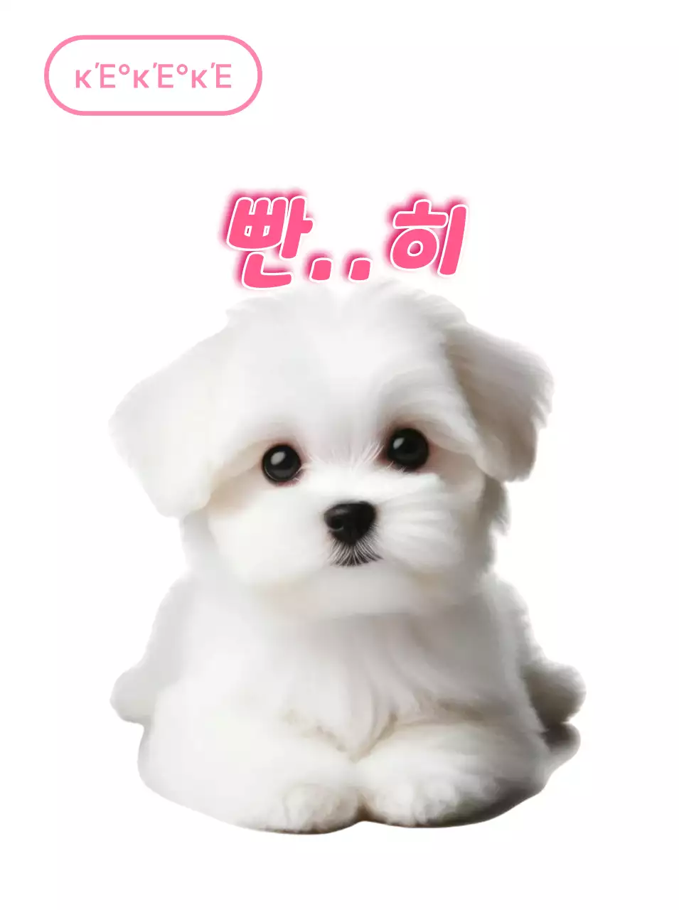 Adesivo cucciolo bianco carino