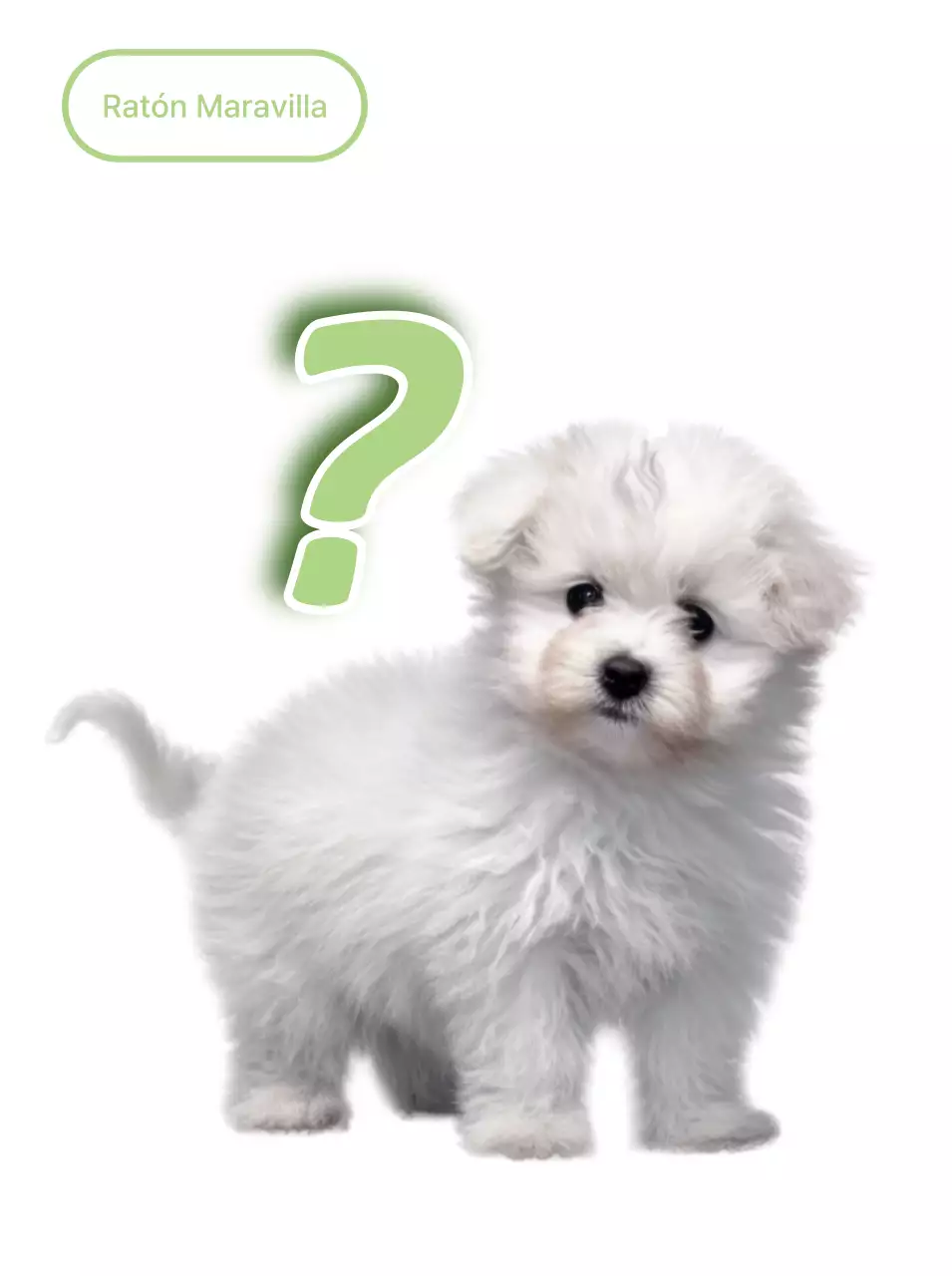 Pegatina de cachorro blanco lindo