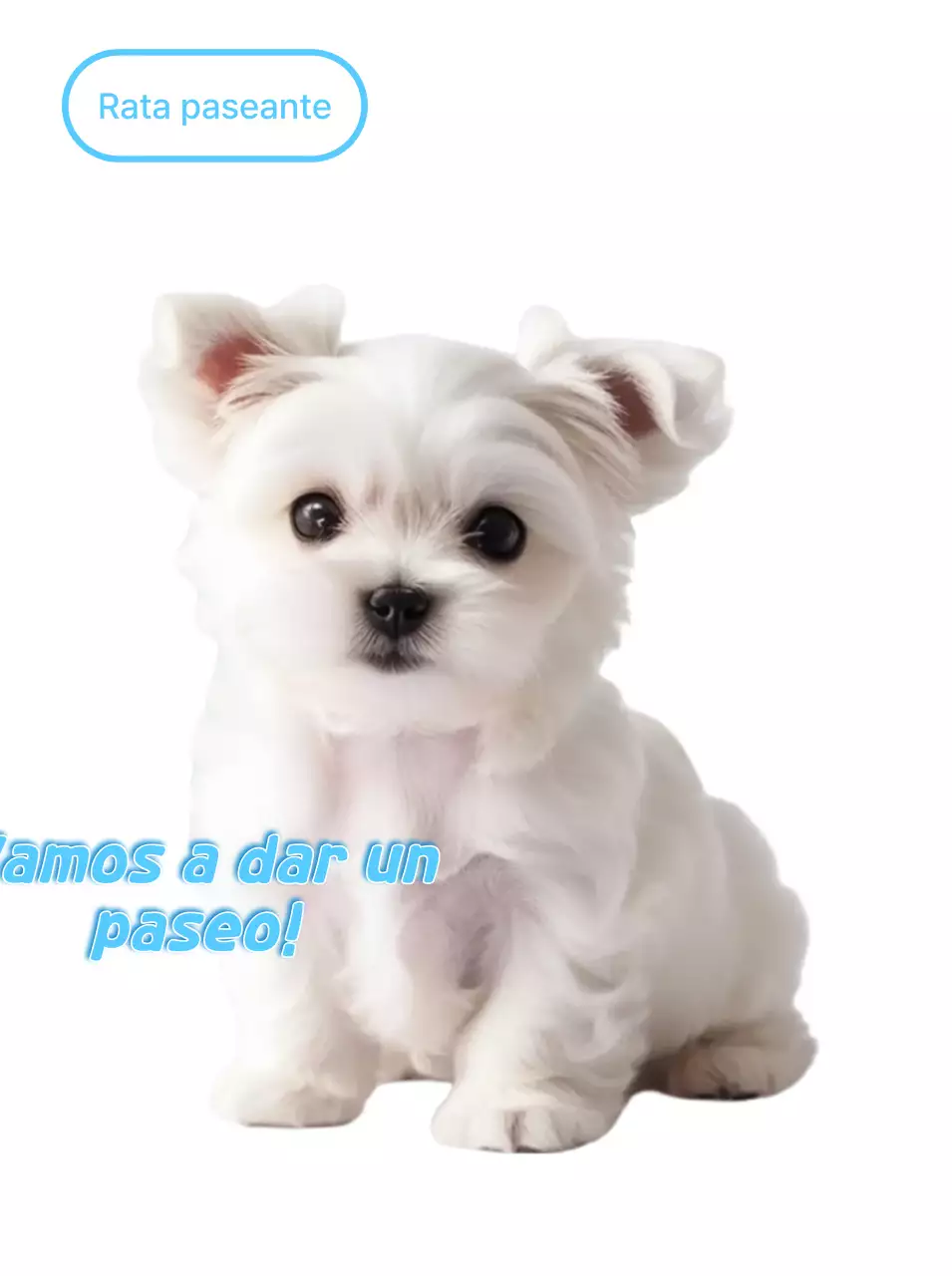 Pegatina de cachorro blanco lindo