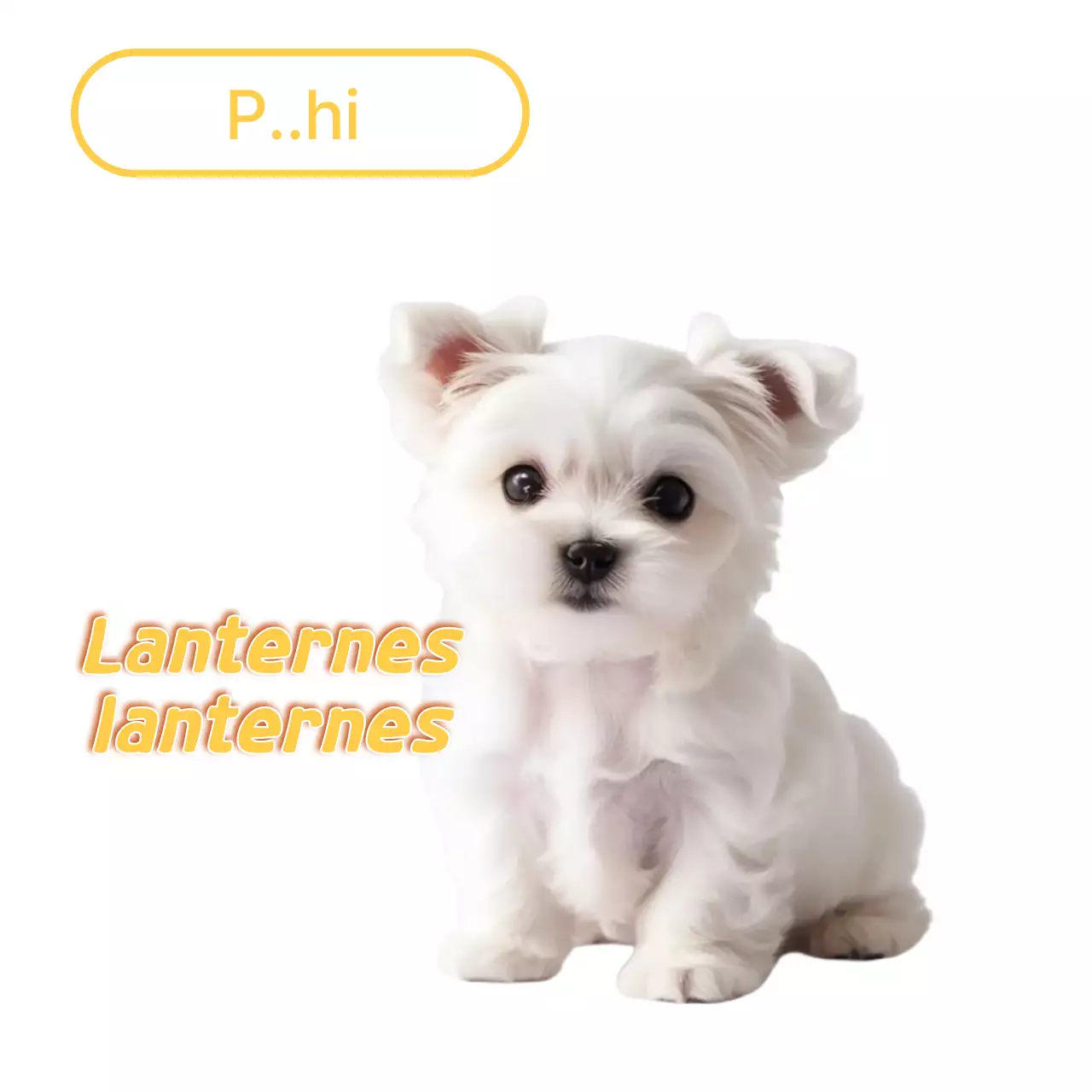 Mème d'animal de compagnie blanc et mignon