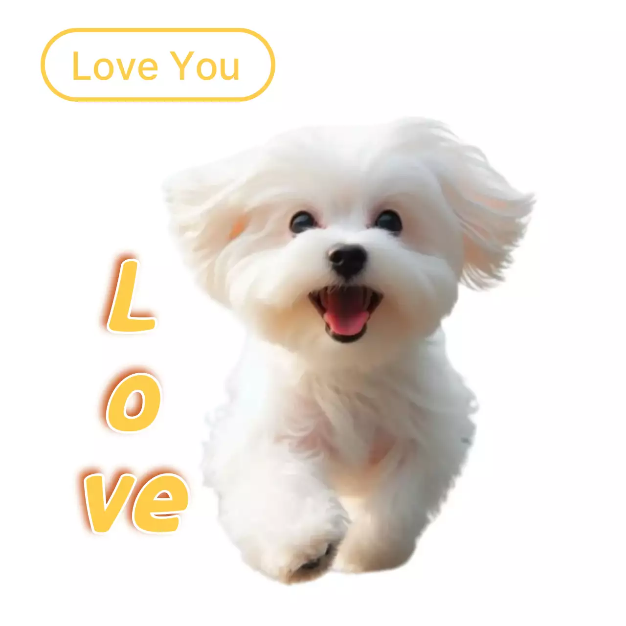 Meme hewan peliharaan lucu berwarna putih