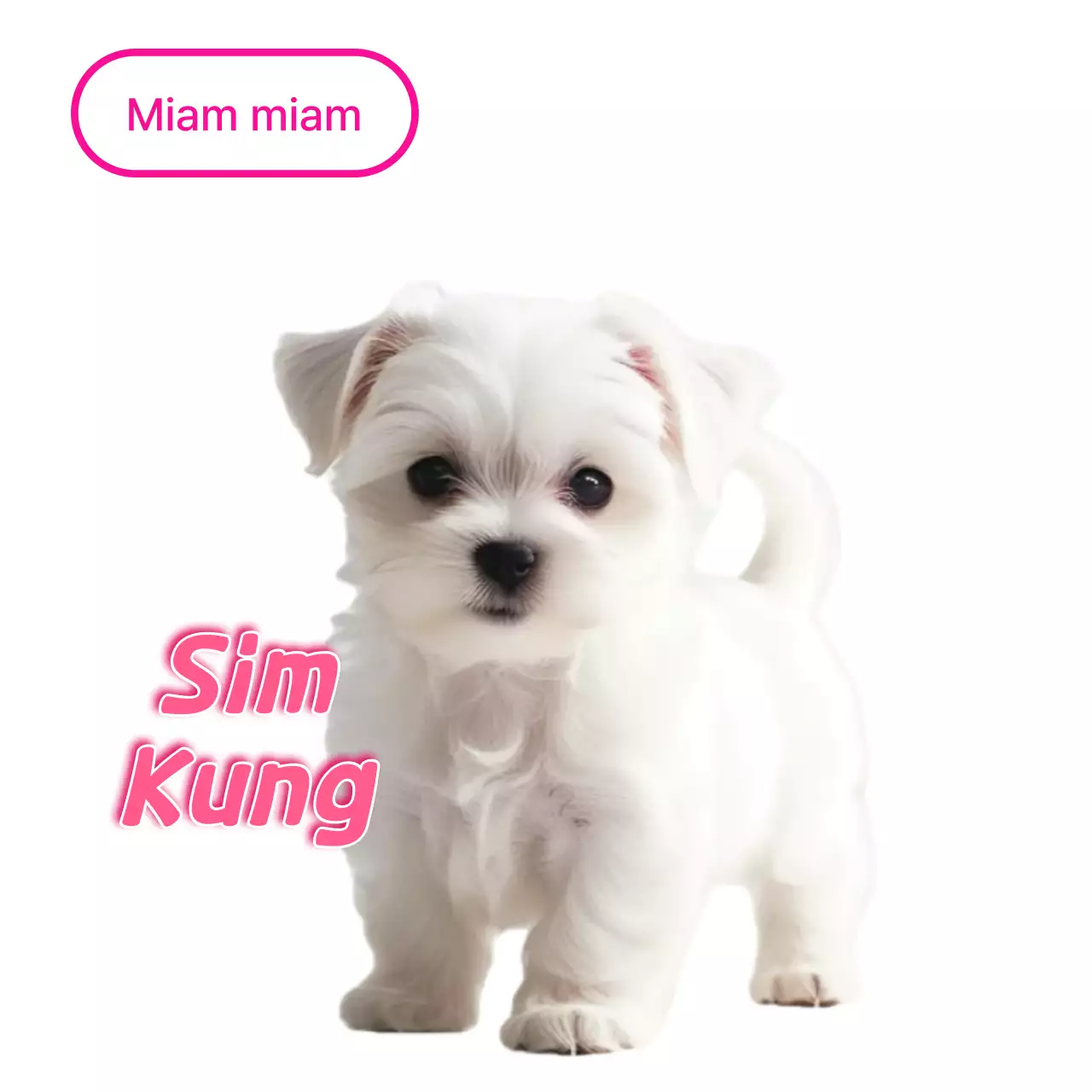 Mème d'animal de compagnie blanc et mignon