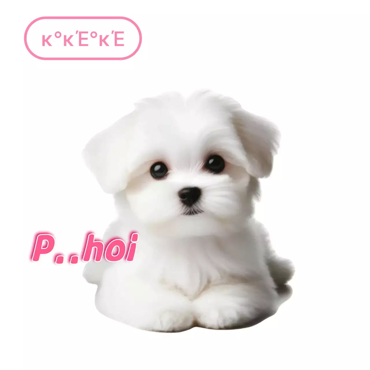 Witte schattige huisdiermeme