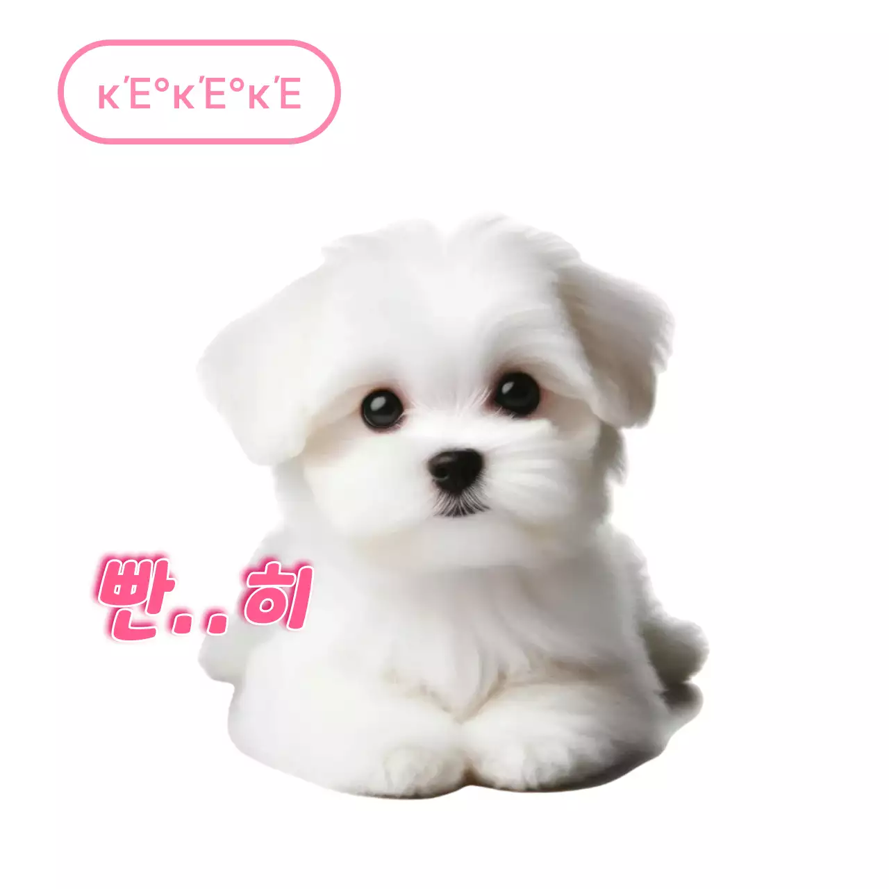 Meme di un animale domestico bianco e carino