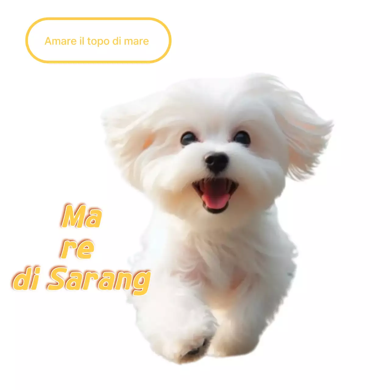 Meme di un animale domestico bianco e carino