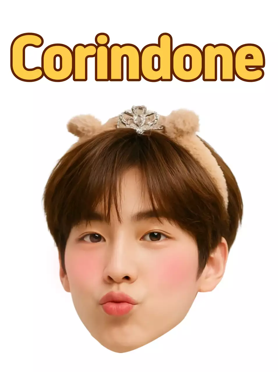 Adesivi marroni con simpatici personaggi