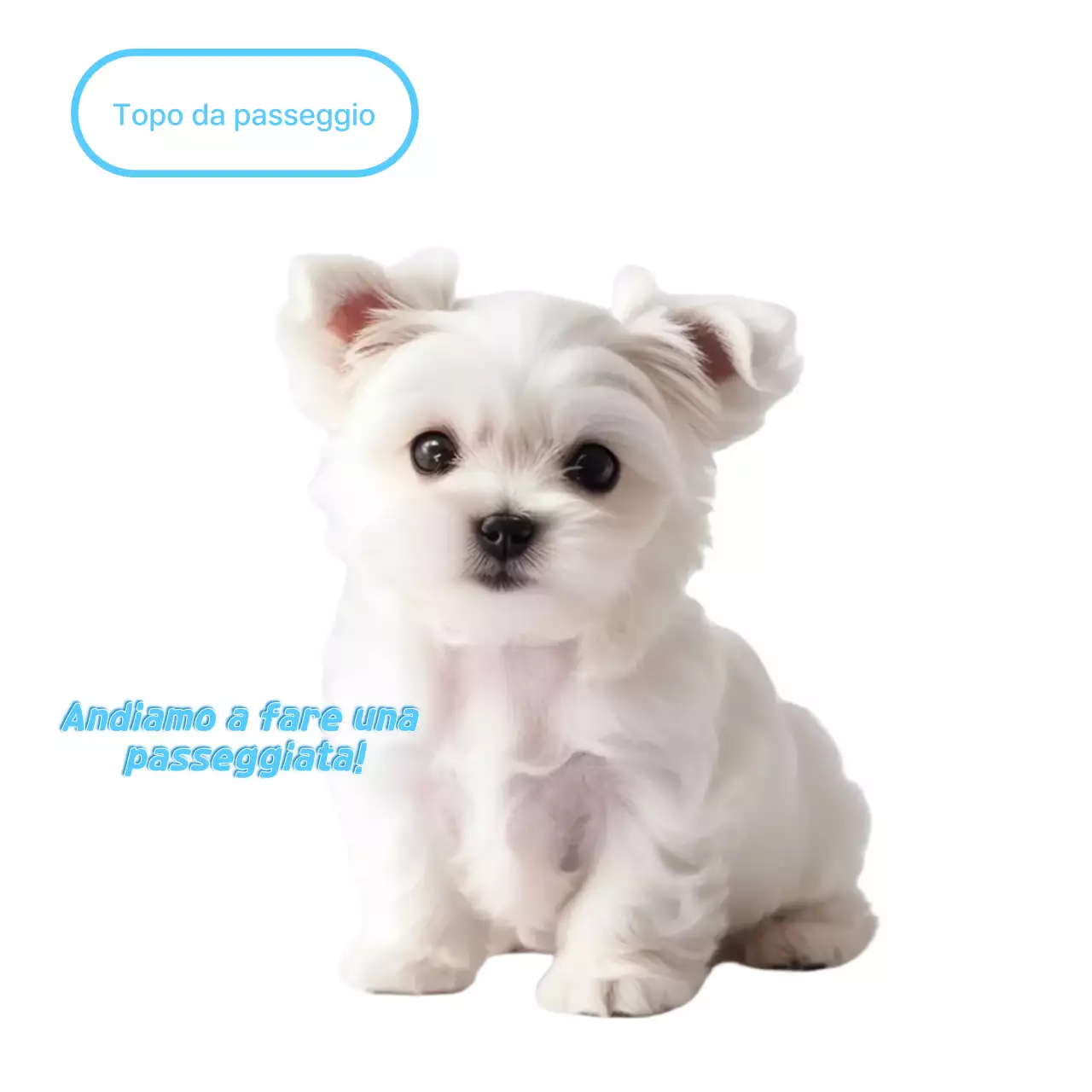 Meme di un animale domestico bianco e carino