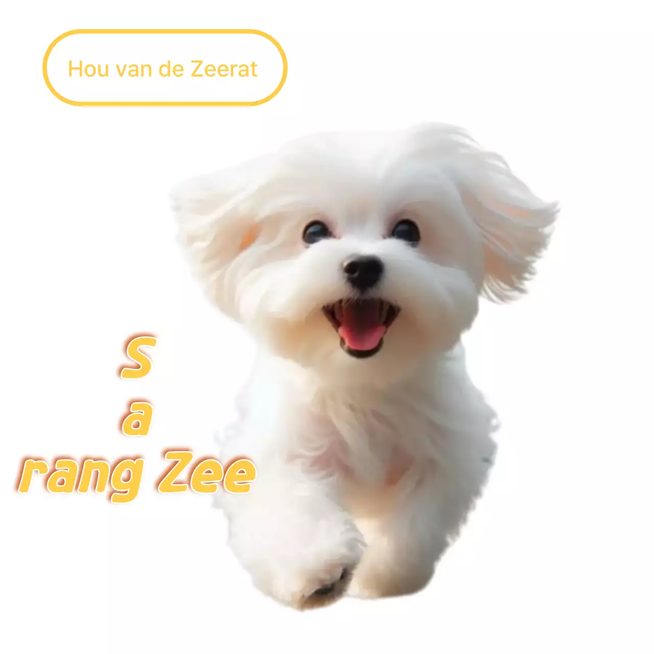 Witte schattige huisdiermeme