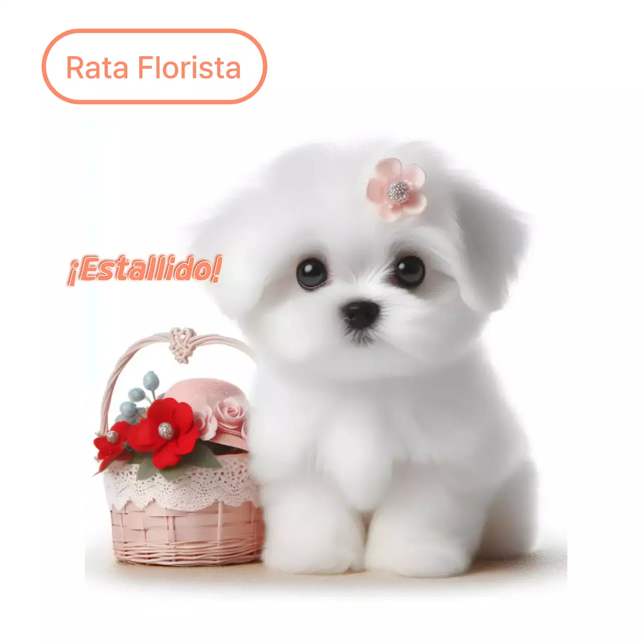 Meme de mascota linda blanca