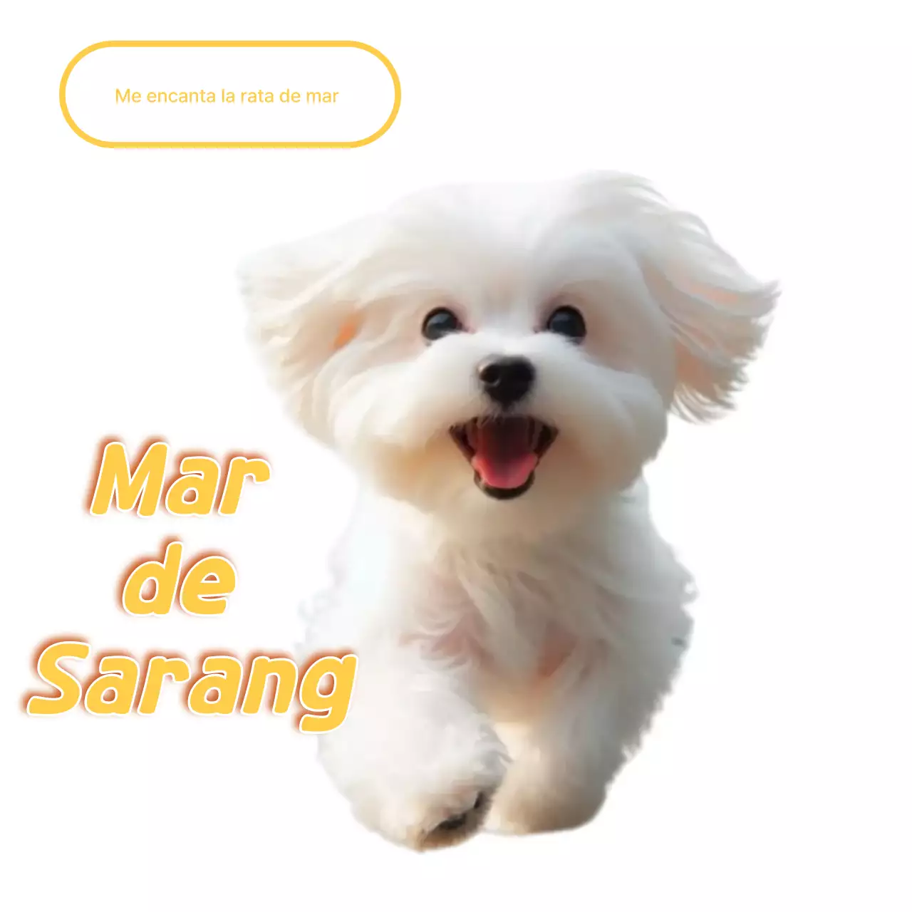 Meme de mascota linda blanca