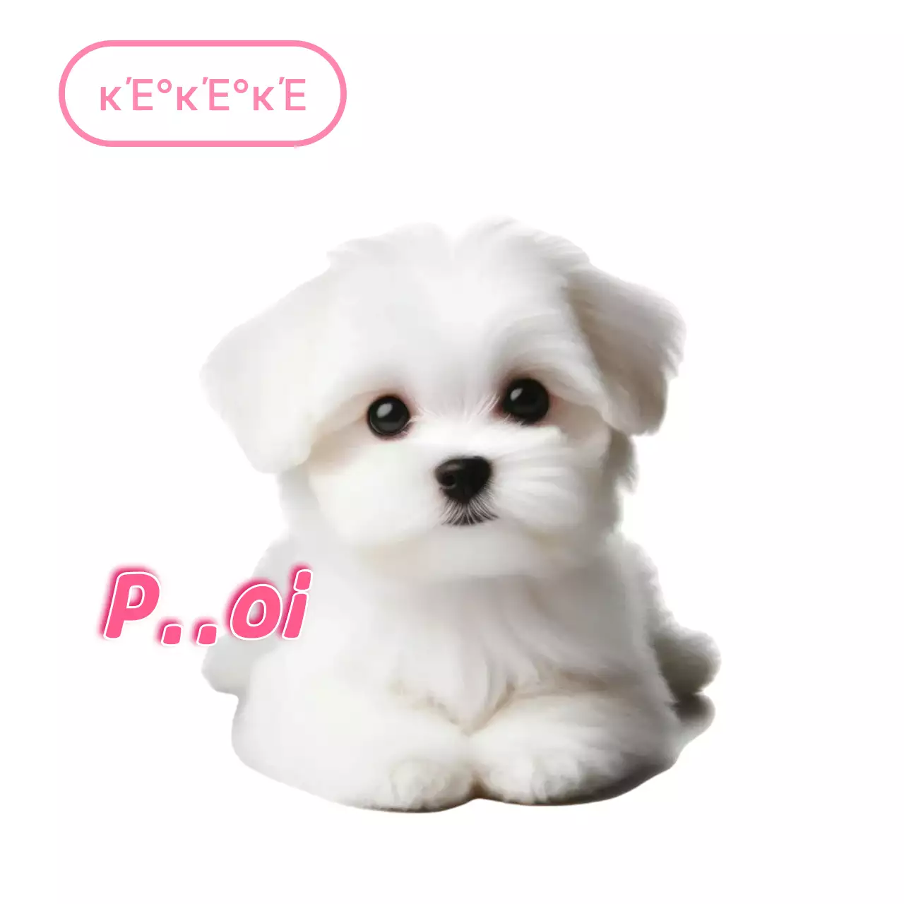 Meme de animal de estimação branco fofo