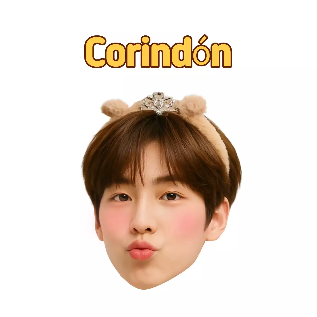 Artículos de arte de abanico blancos y lindos