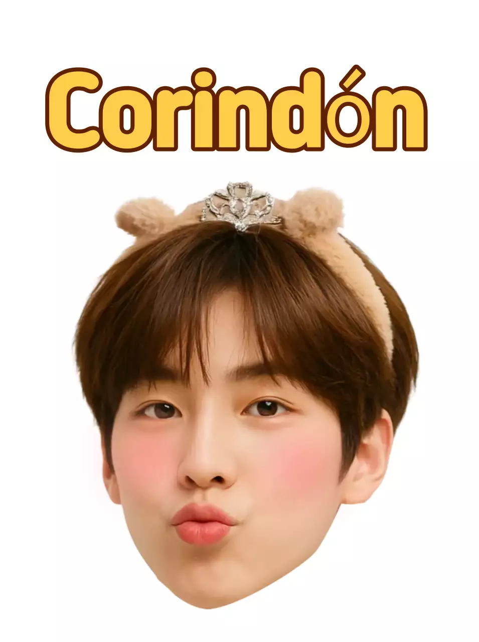 Pegatinas de personajes lindos de color marrón