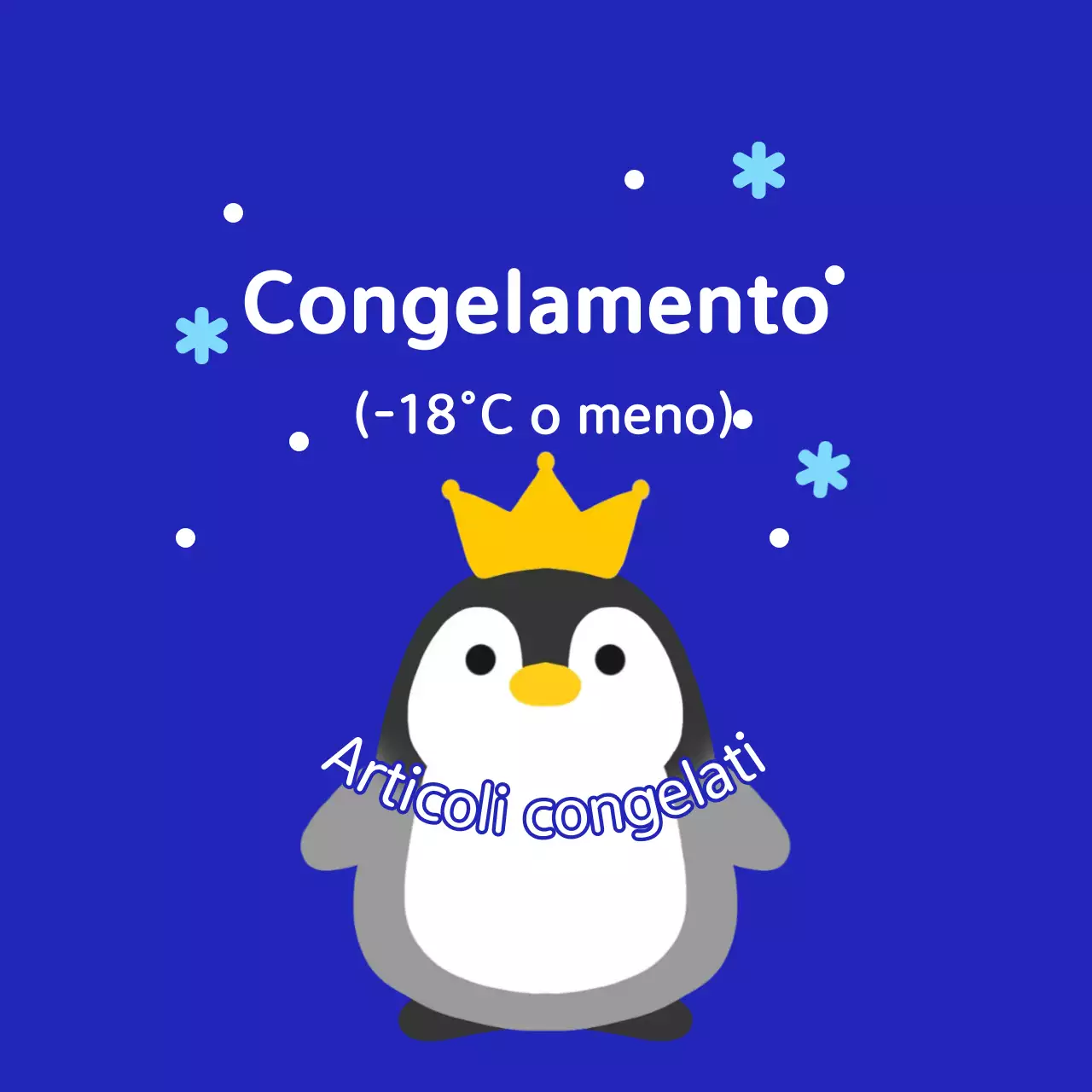 Istruzioni per la conservazione semplice in blu