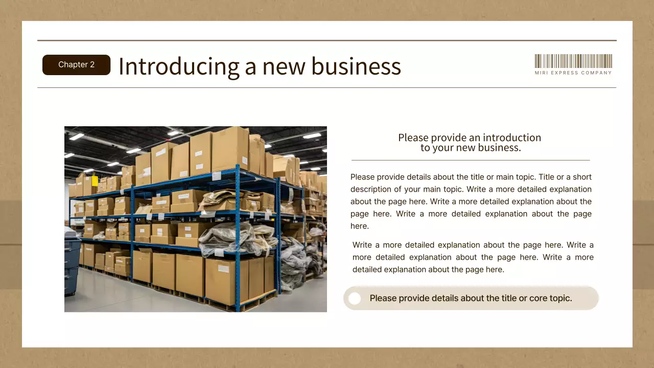 Orange Professional Delivery Plan Presentation