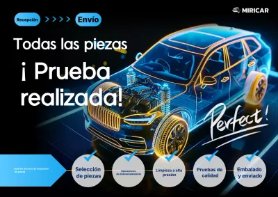 Guía de inspección de vehículos Neon Cyber