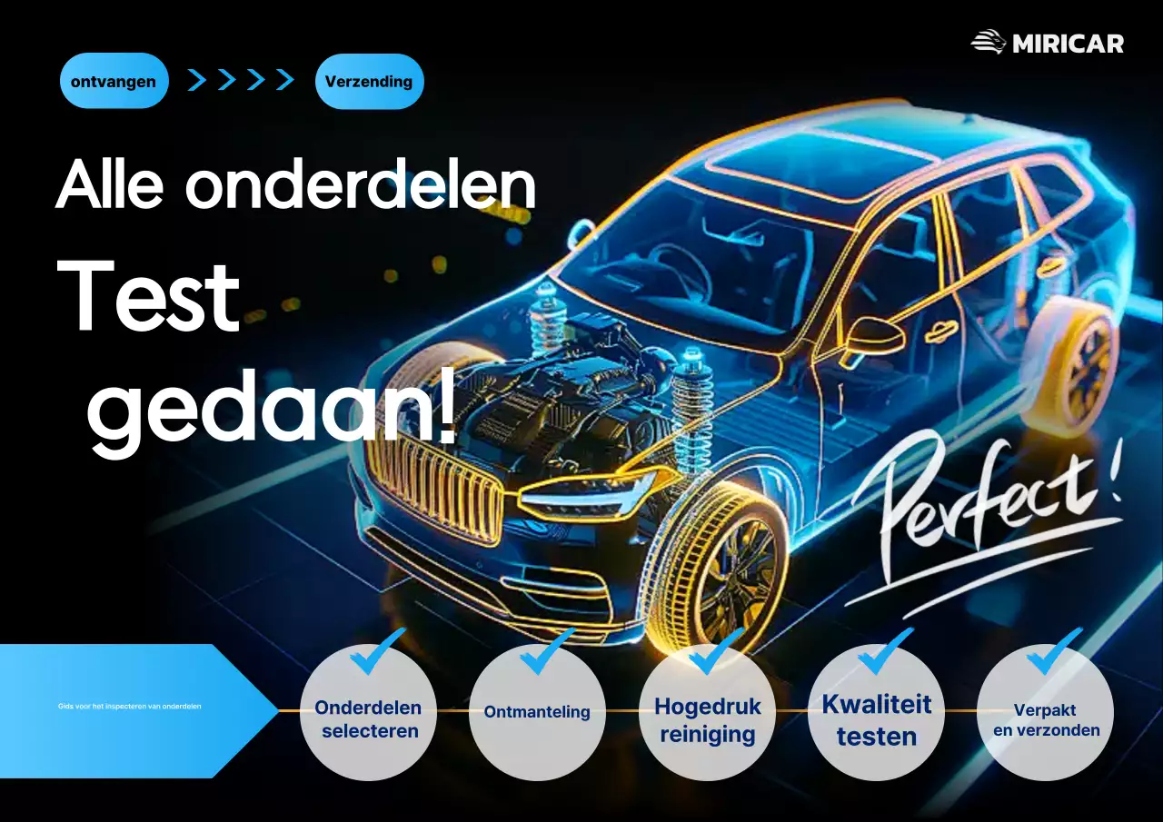 Neon Cyber ​​​​Auto-inspectiegids