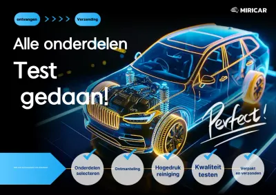 Neon Cyber Auto-inspectiegids