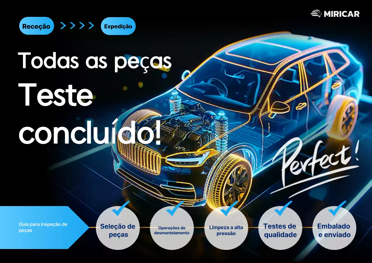 Guia de Inspeção Automotiva Neon Cyber