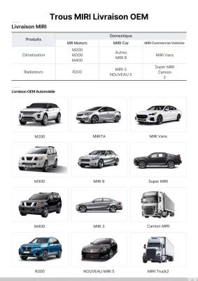 Présentation des produits automobiles de base noirs