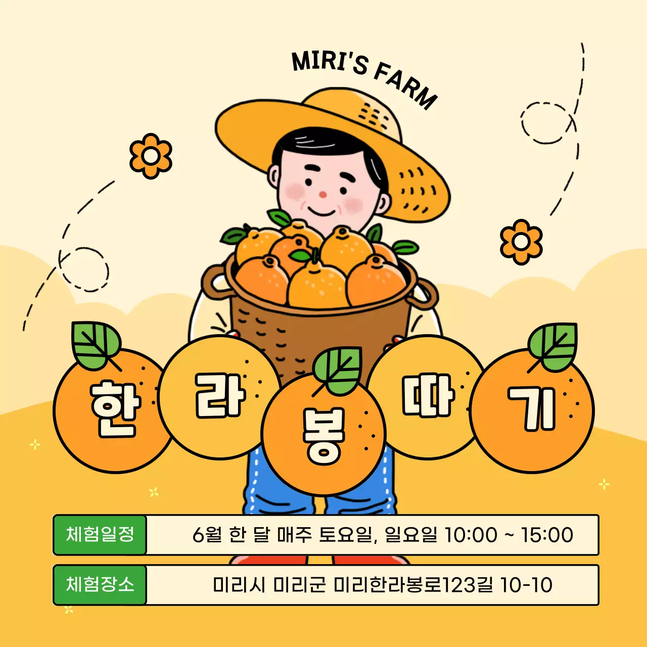 노란색과 초록색의 귀여운 한라봉 따기 체험