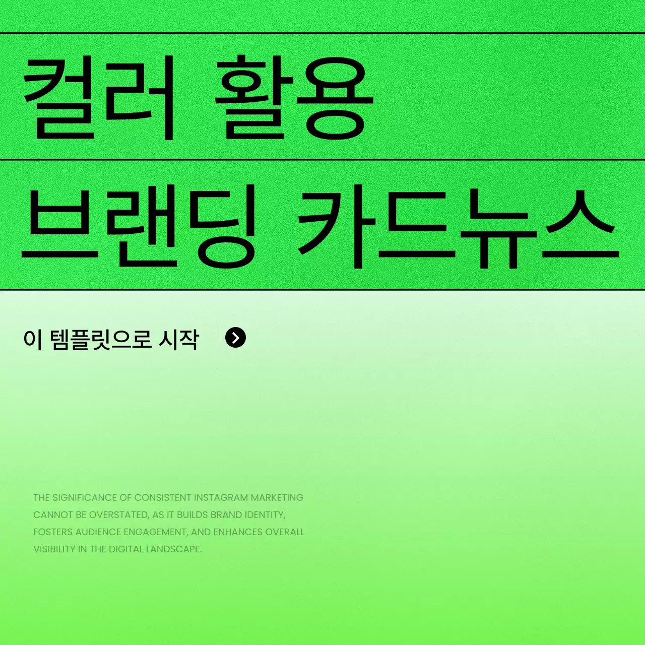 초록색과 검정의 트렌드한 브랜딩 홍보