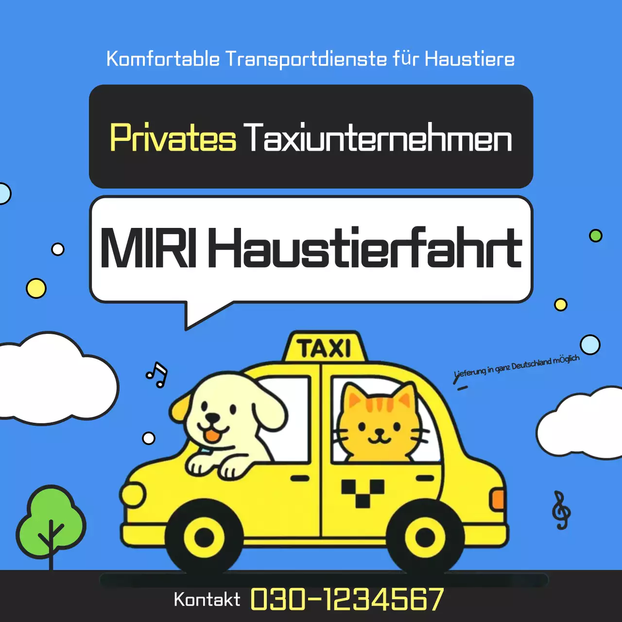 Sky Blue Baby Haustiertaxi-Angebot