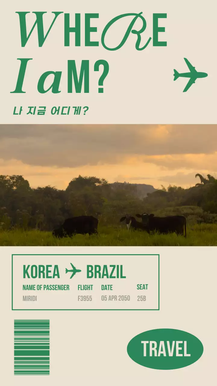 항공권컨셉영상