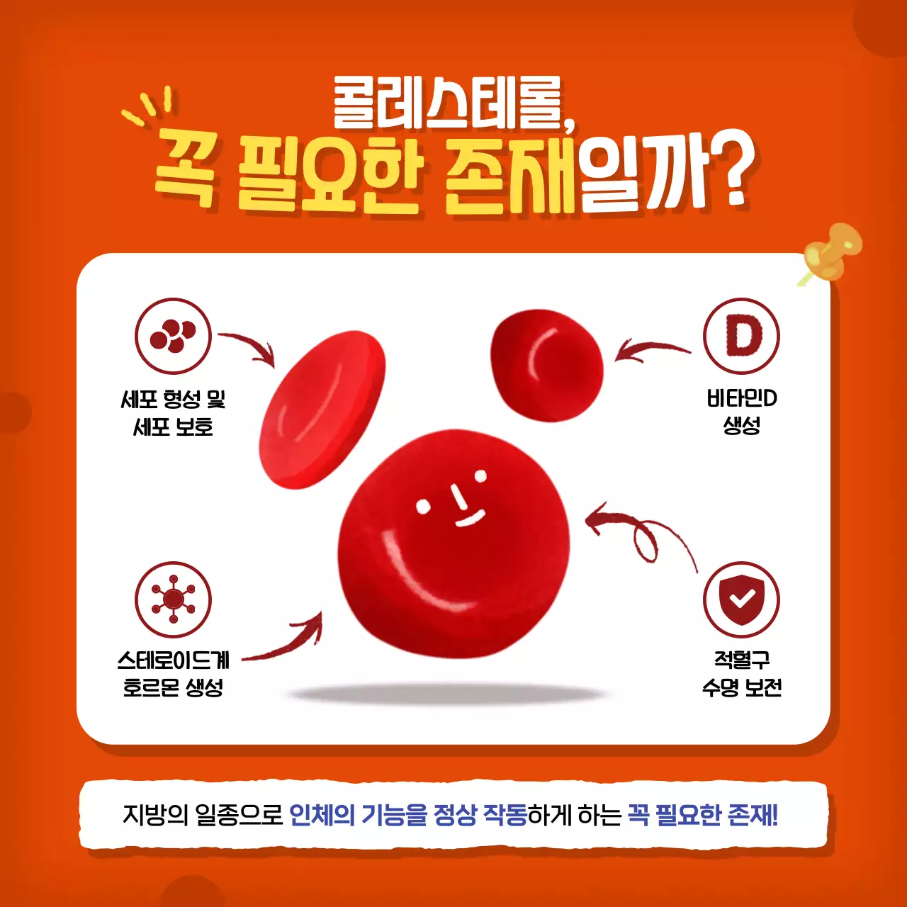 주황색과 빨강의 아기자기한 콜레스테롤 정보 설명