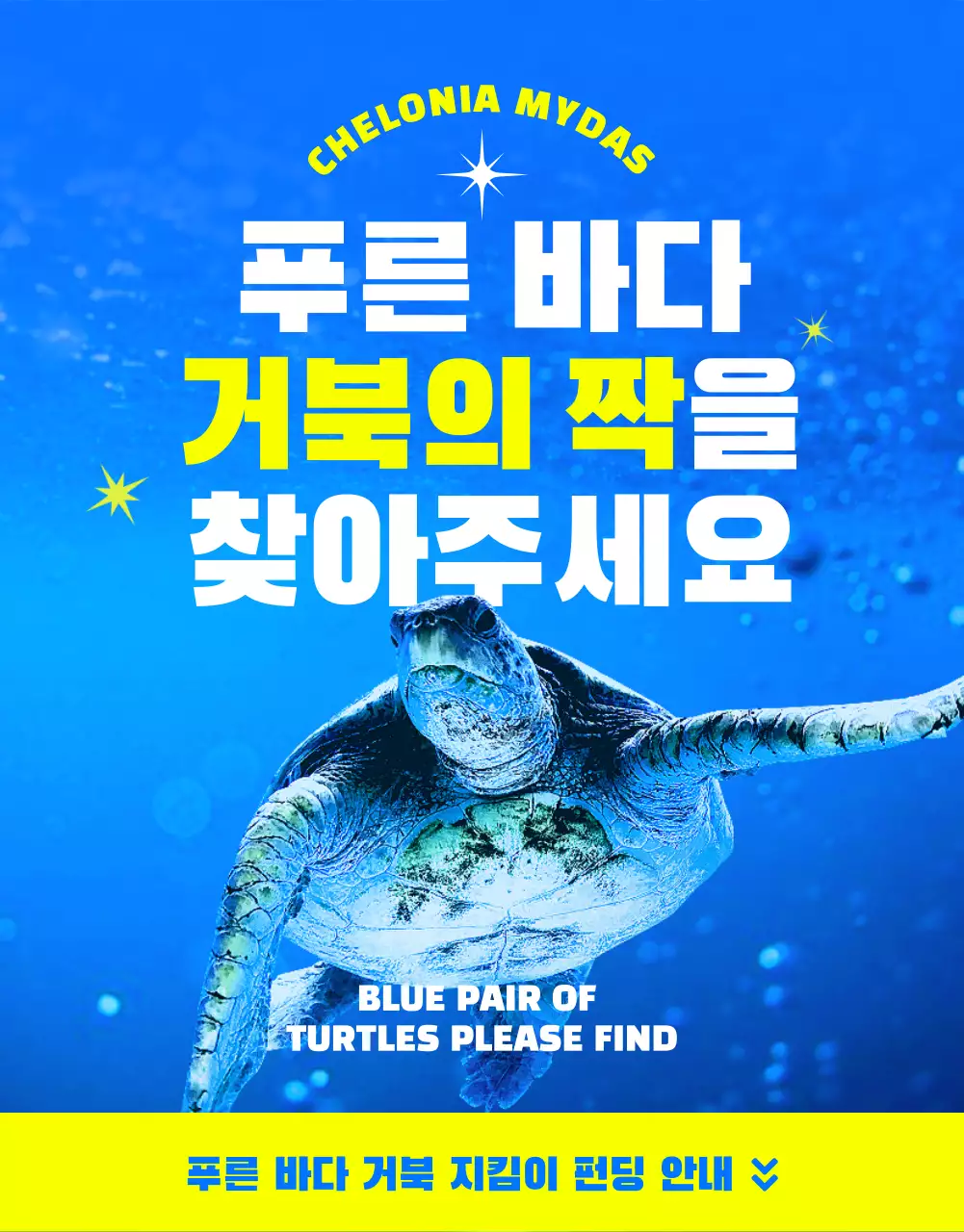 파란색과 노란색의 청량하고 시원한 멸종위기 바대 생물 푸른 바다 거북이 환경보호 펀딩 프로젝트 안내