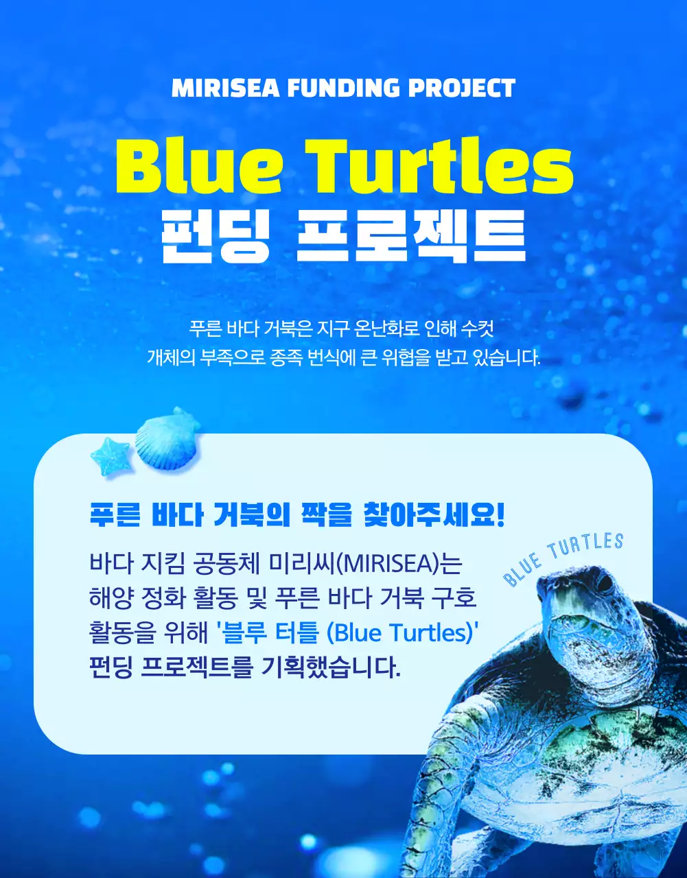 파란색과 노란색의 청량하고 시원한 멸종위기 바대 생물 푸른 바다 거북이 환경보호 펀딩 프로젝트 안내