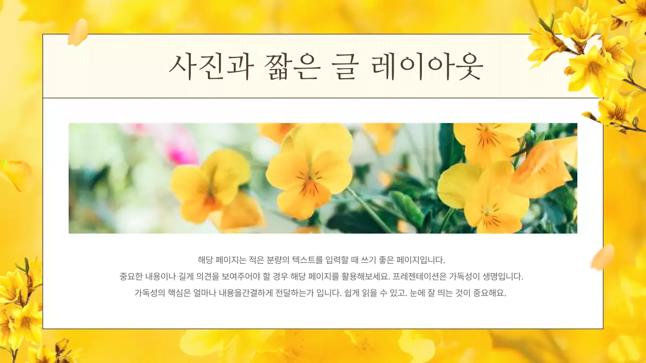 노랑의 자연의 봄 꽃의 개나리 발표자료