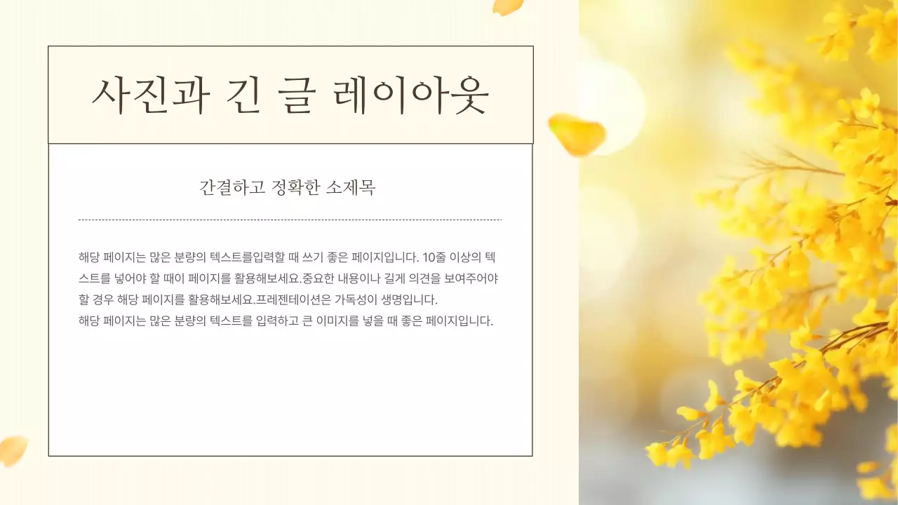 노랑의 자연의 봄 꽃의 개나리 발표자료