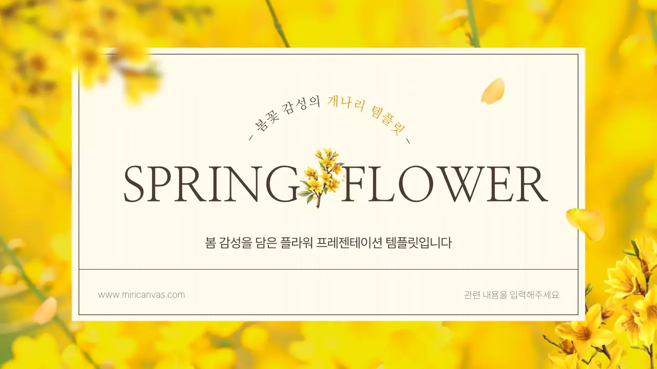 노랑의 자연의 봄 꽃의 개나리 발표자료