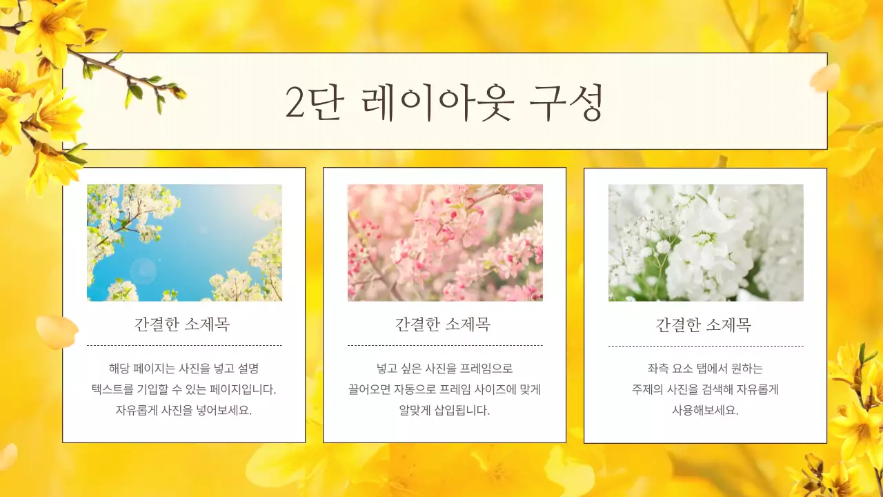 노랑의 자연의 봄 꽃의 개나리 발표자료