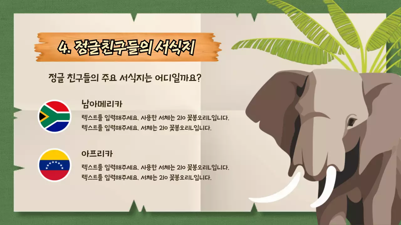 그린과 베이지색의 지도컨셉의 정글 대탐험