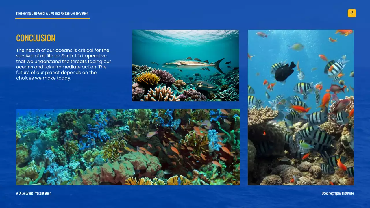 Blue Professional Ocean Guide Presentation